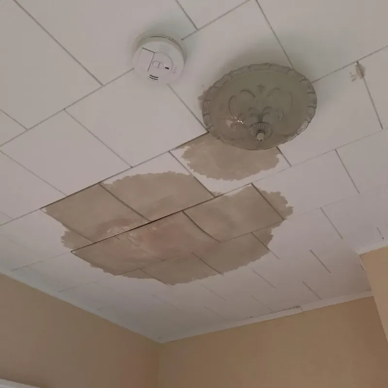 Ceiling Water Damage Repair in Saint Michael, MN