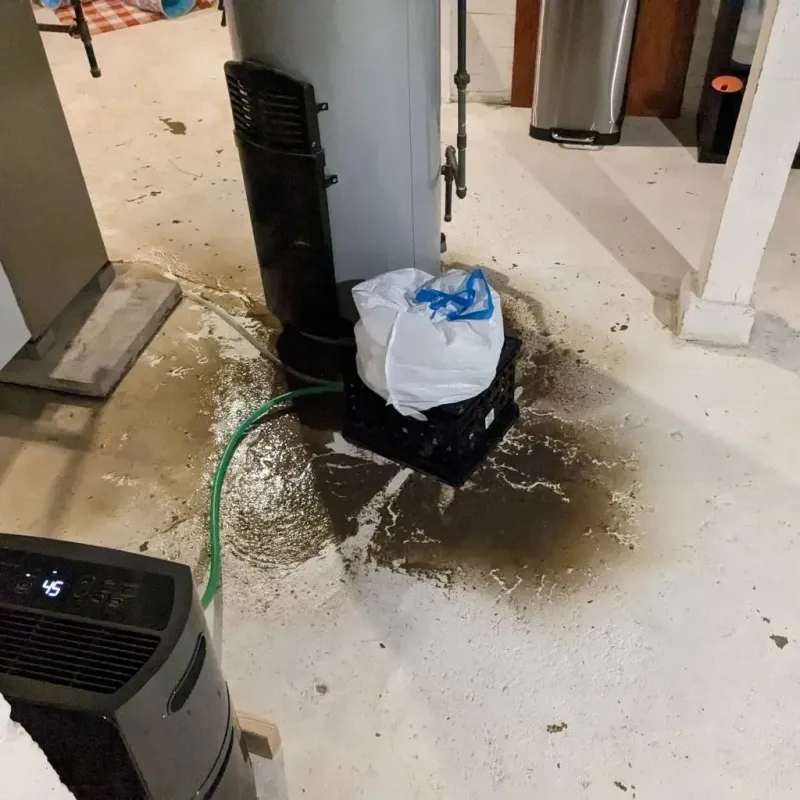 Sewage Backup Cleanup Service in Saint Michael, MN
